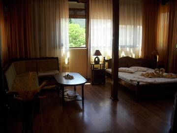 Фото номера Двухместный номер с 1 кроватью Отель Hotel Ambrozia г. Котел 6
